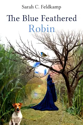 The Blue Feathered Robin poster