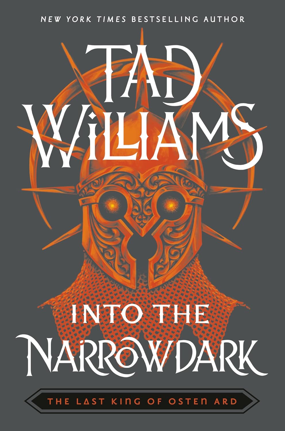 Into the Narrowdark poster