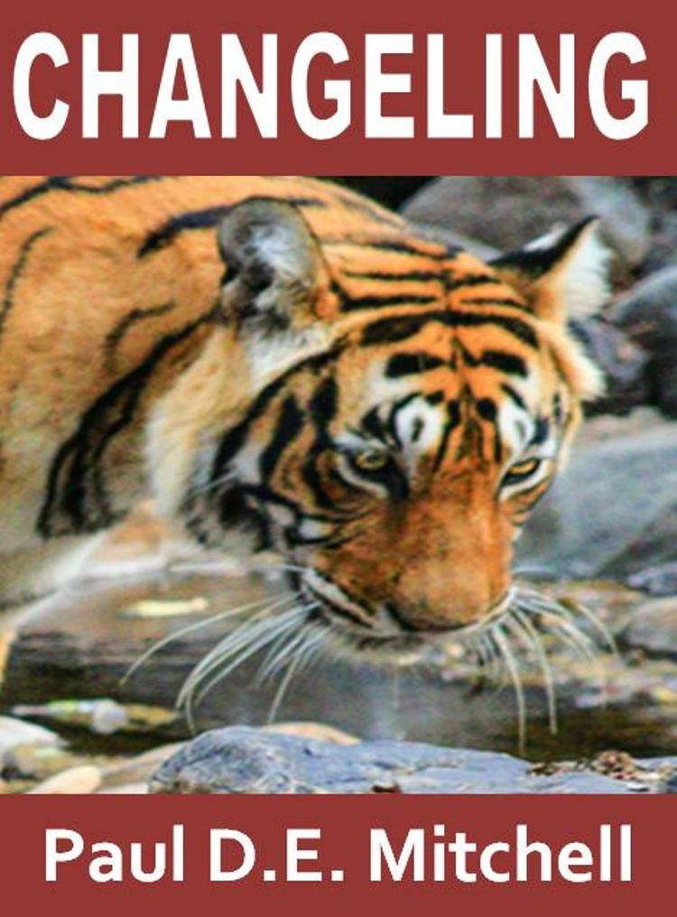 Changeling (Nexus 5) poster