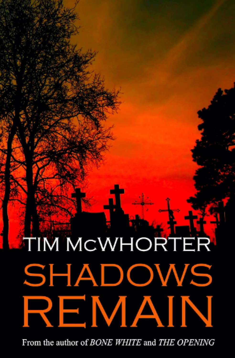 Shadows Remain poster