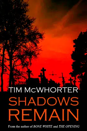 Shadows Remain poster