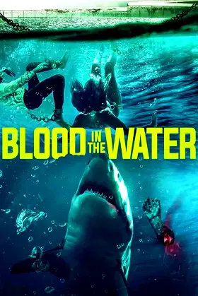 Blood in the Water poster