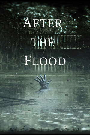 After the Flood poster