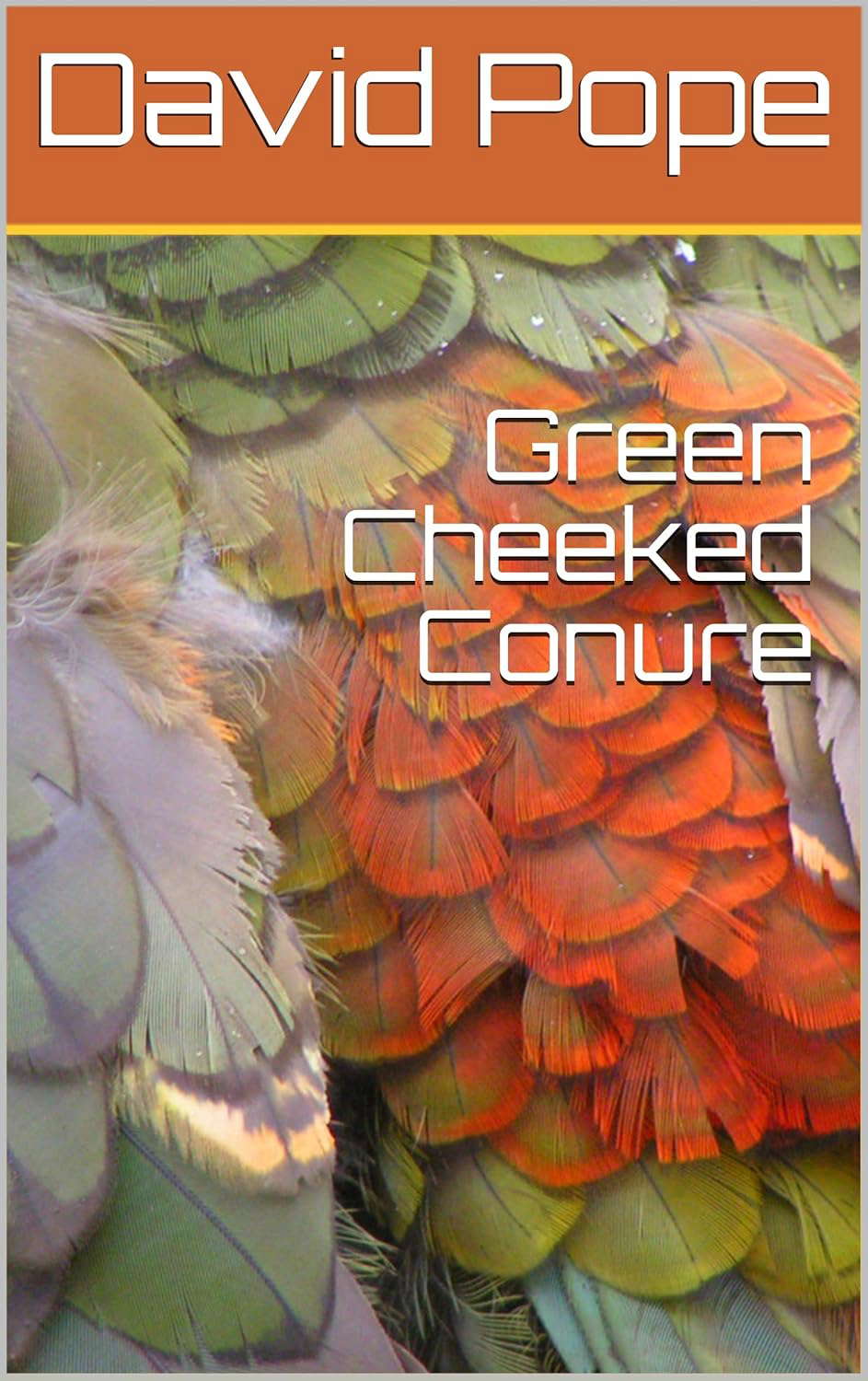 Green Cheeked Conure poster