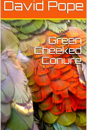 Green Cheeked Conure poster