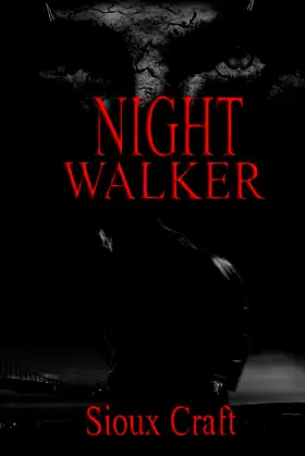 Night Walker poster