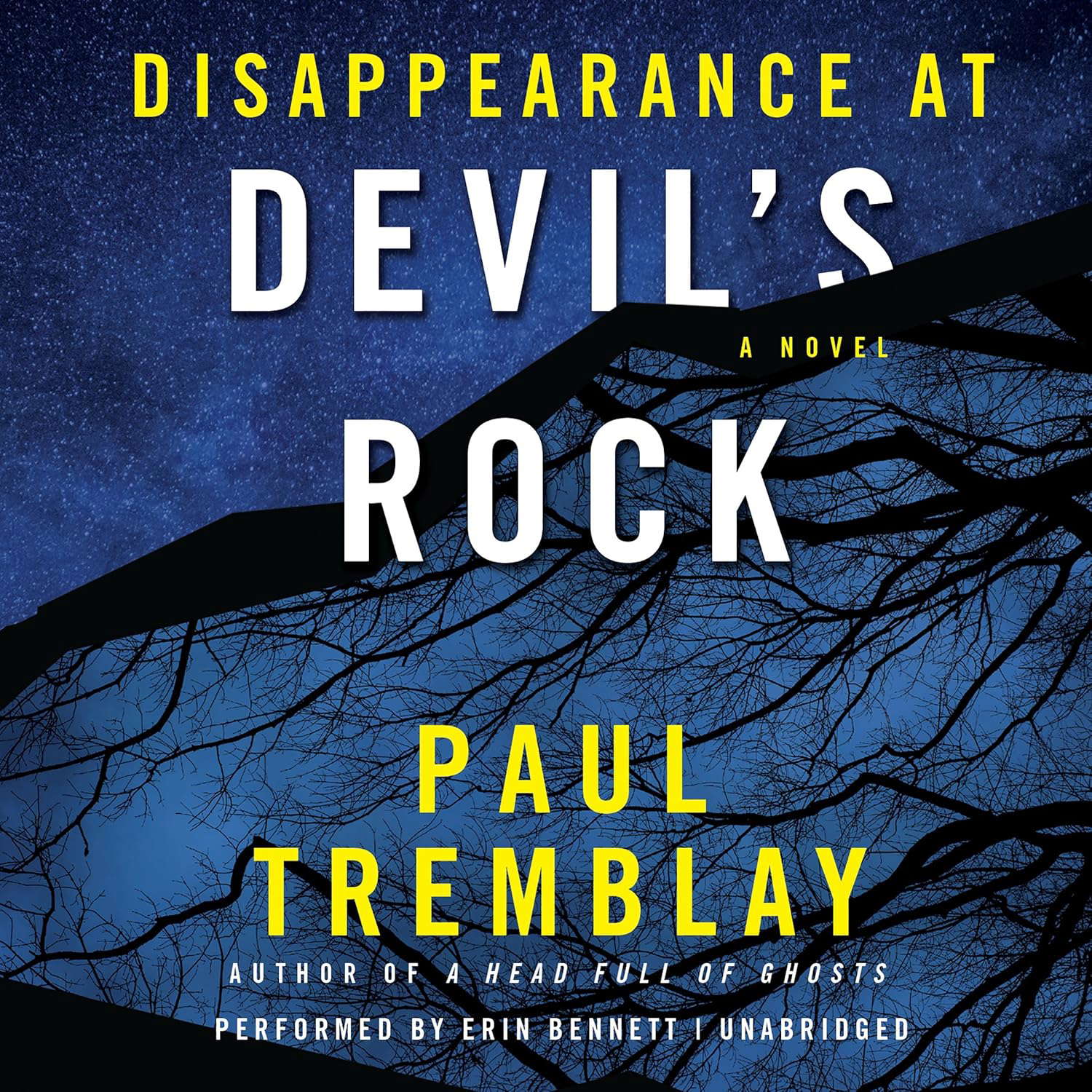 Disappearance at Devil's Rock: A Novel poster