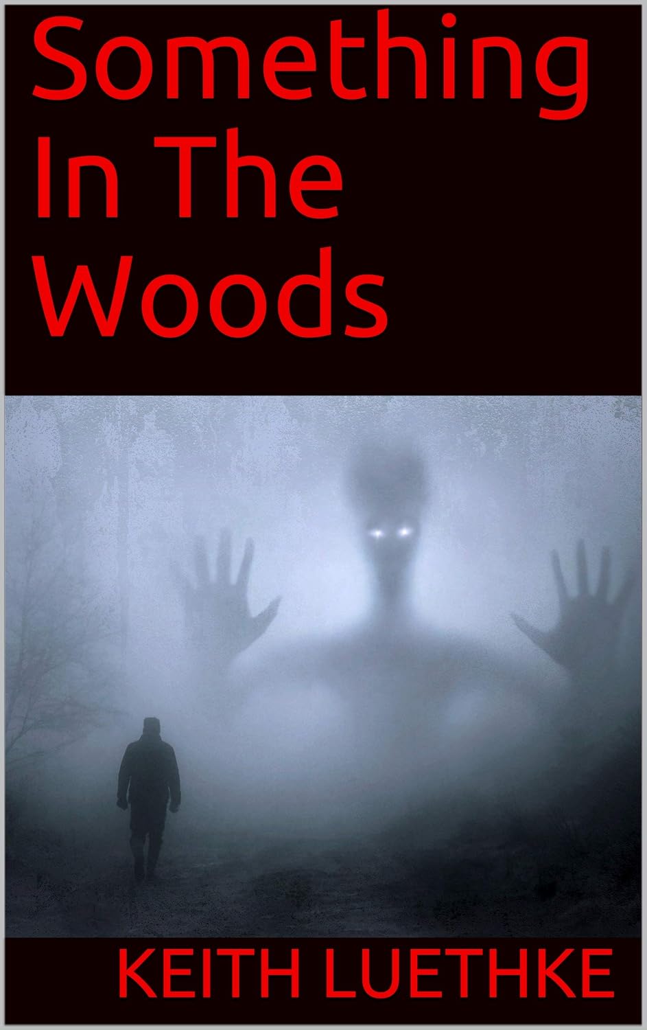 Something In The Woods poster
