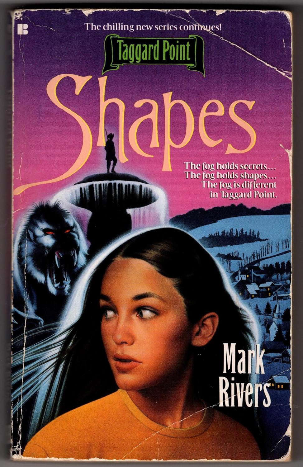 Shapes (Taggard Point, Book 2) poster