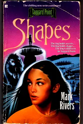 Shapes (Taggard Point, Book 2) poster
