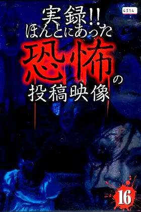 Actual Record! Real Horror Posted Video 16 poster