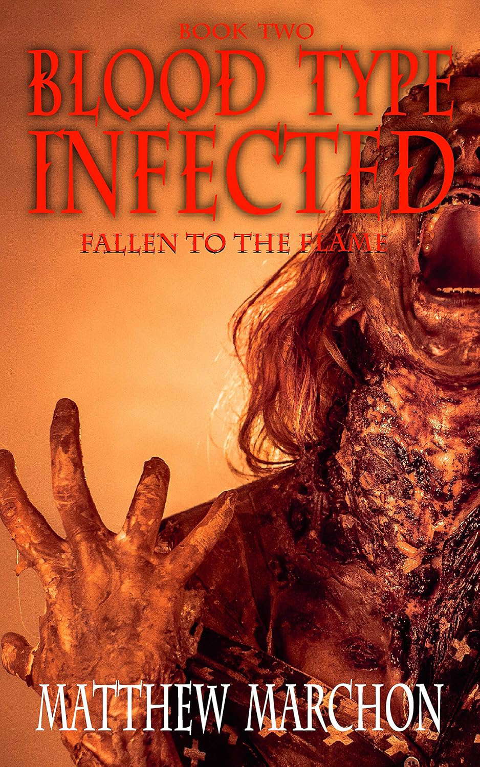 Blood Type Infected 2: Fallen To The Flame (Blood Type : Infected) poster