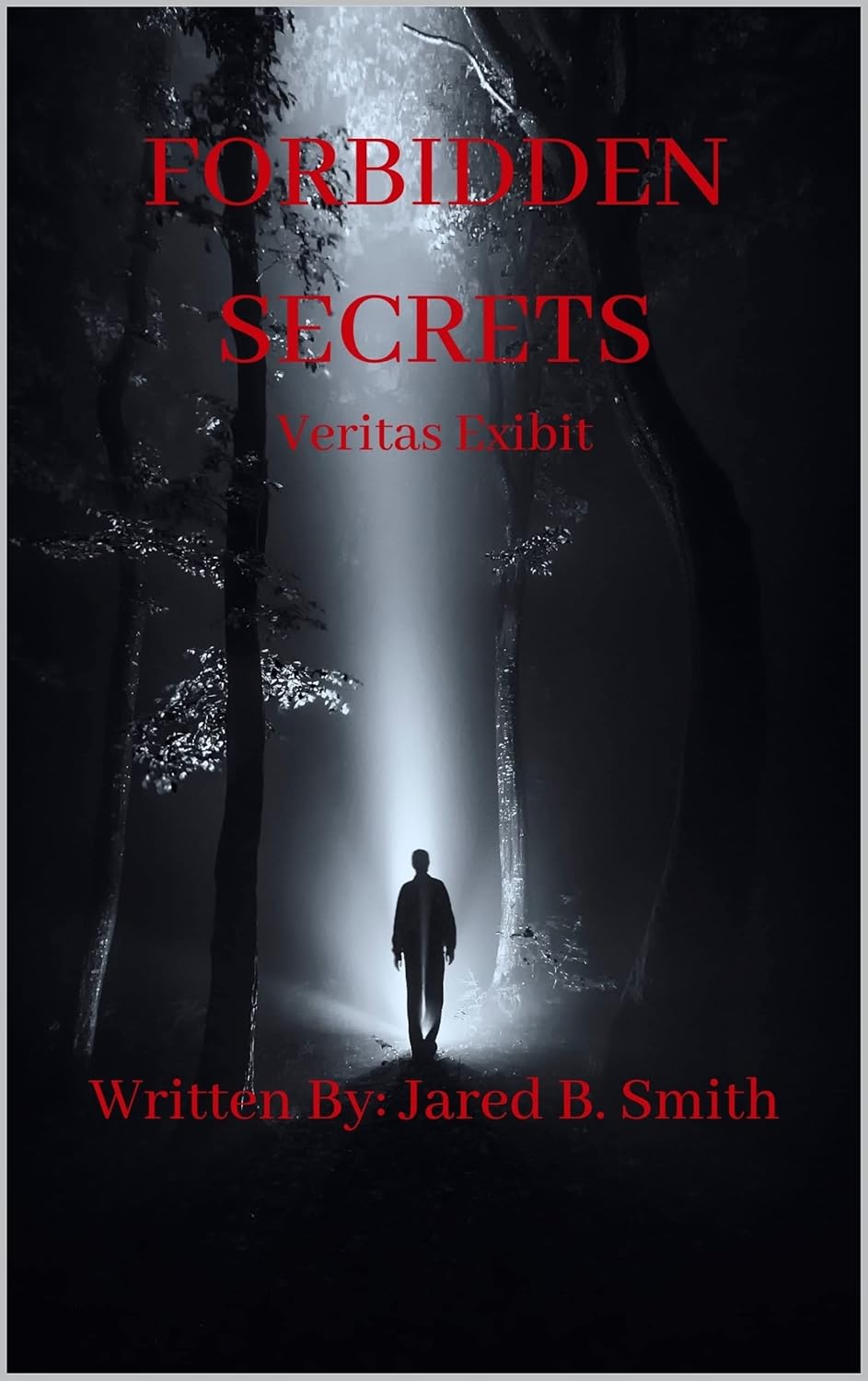 Forbidden Secrets poster