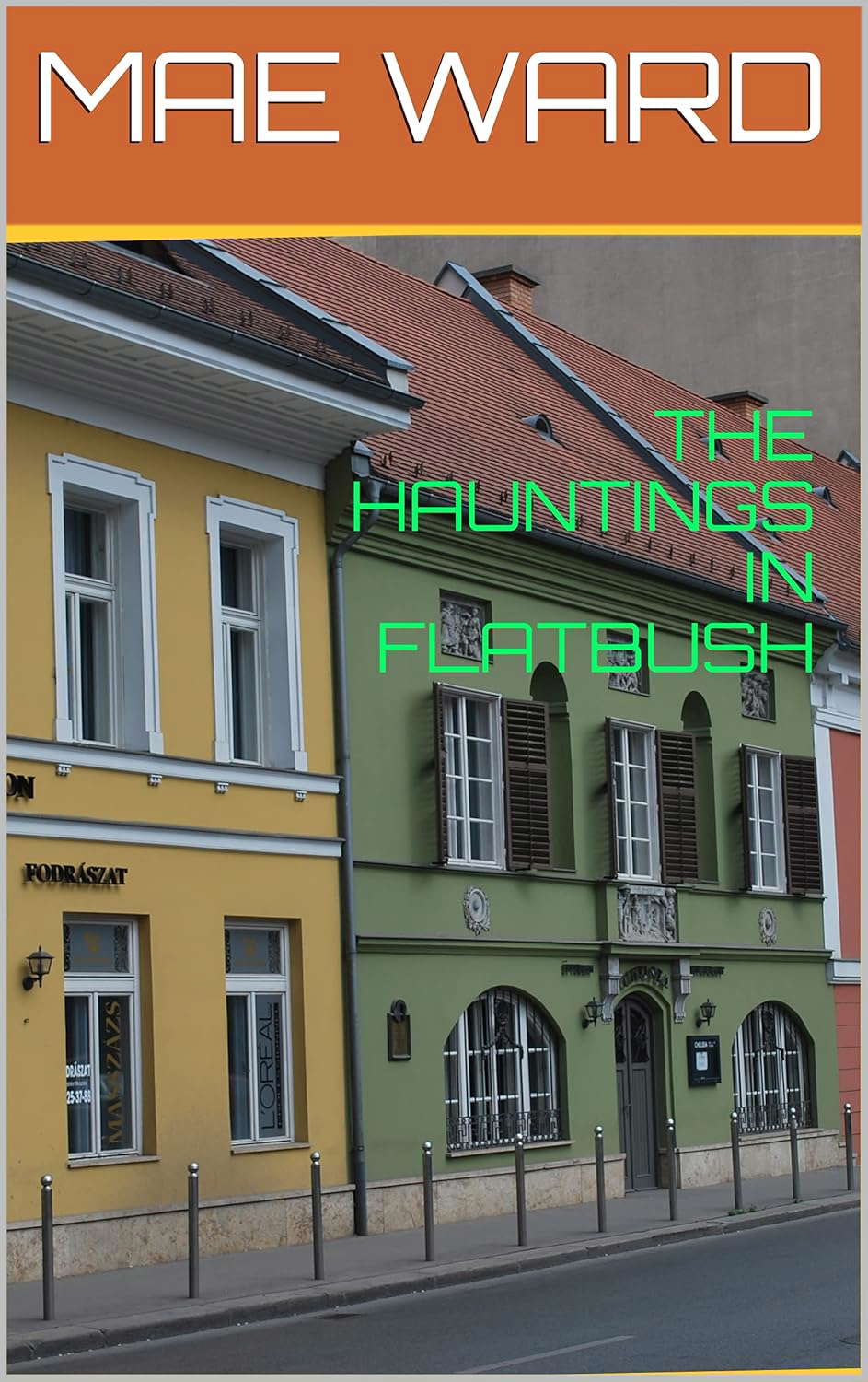 THE HAUNTINGS IN FLATBUSH poster