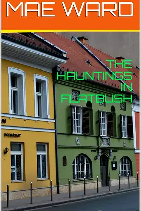 THE HAUNTINGS IN FLATBUSH poster