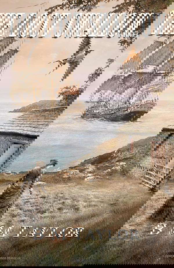 THE LOST SWALLOW poster