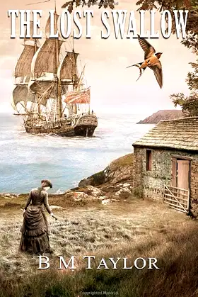 THE LOST SWALLOW poster