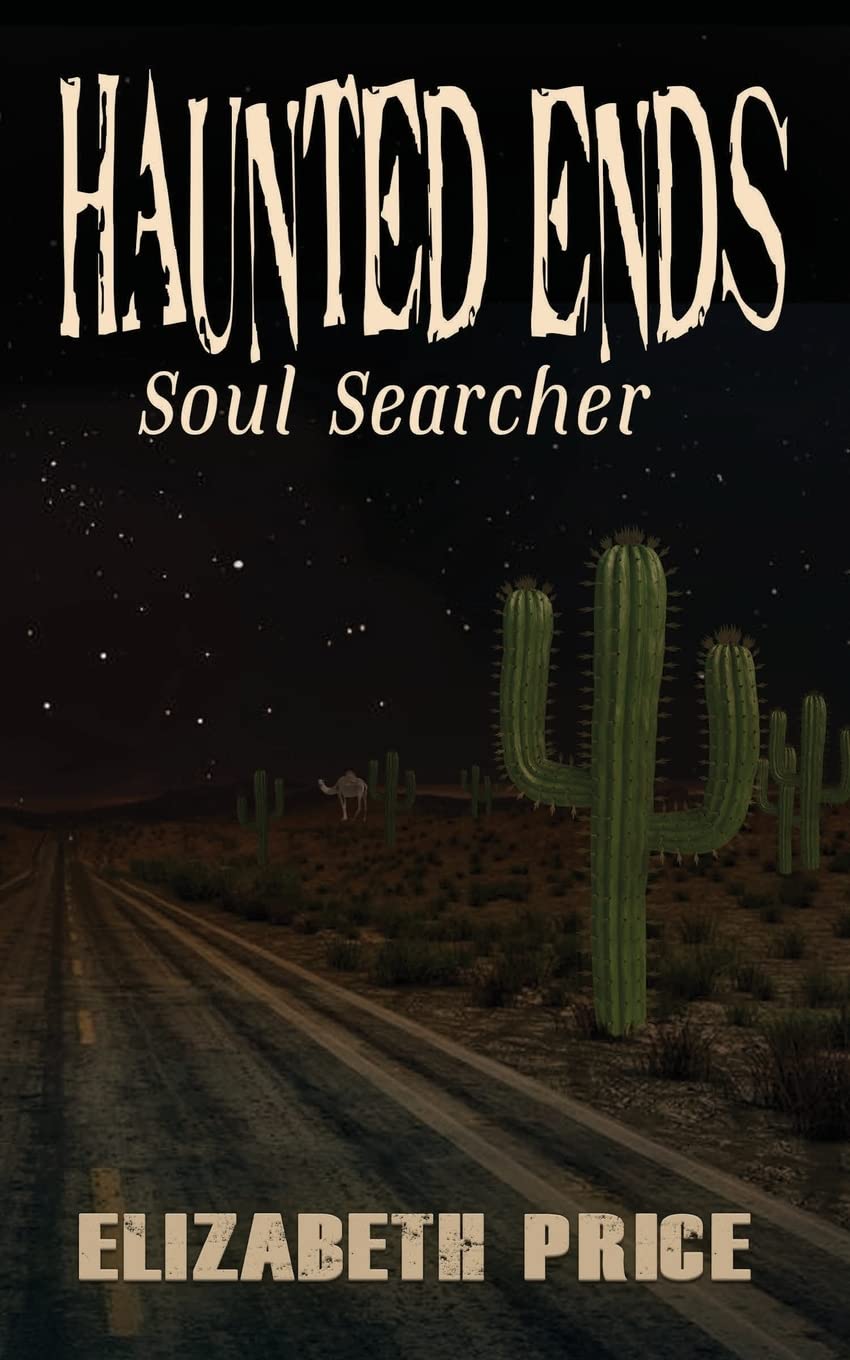 Haunted Ends: Soul Searcher poster