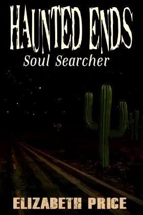 Haunted Ends: Soul Searcher poster