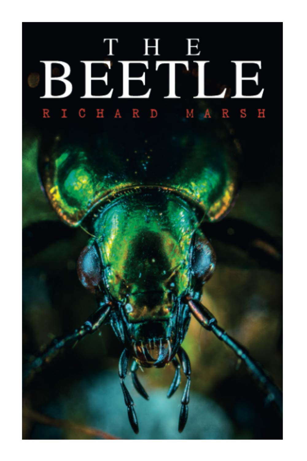 The Beetle: A Supernatural Thriller Novel poster