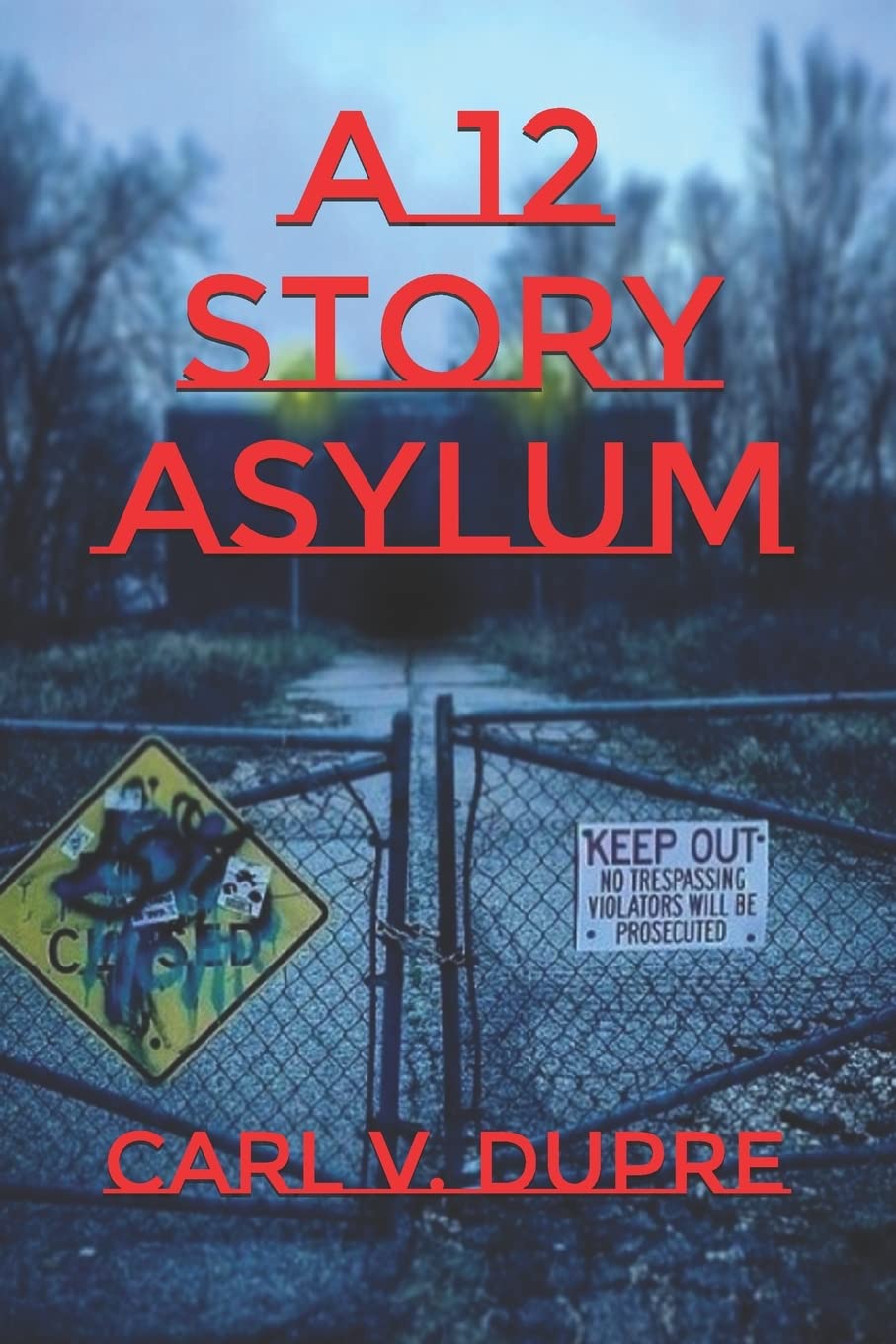 A 12 Story Asylum poster