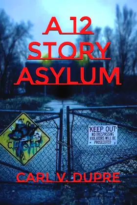 A 12 Story Asylum poster