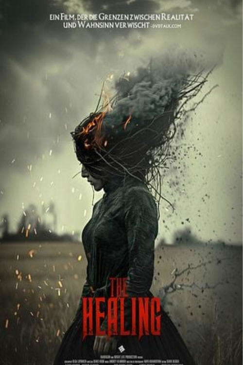 The Healing poster