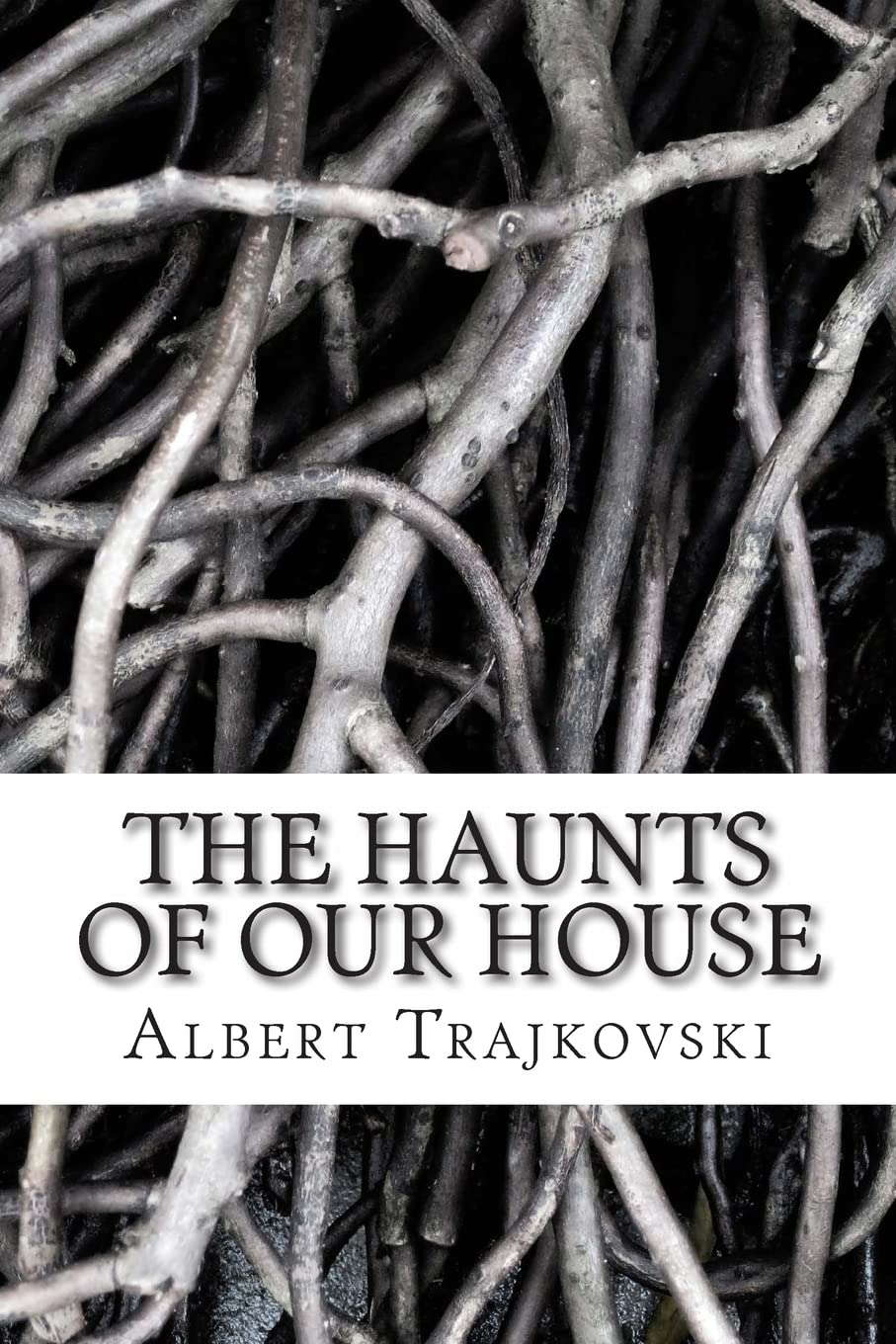The Haunts of Our House poster