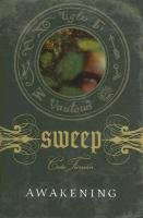 Book of Shadows: Sweep poster