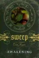 Book of Shadows: Sweep poster