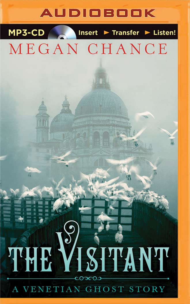 Visitant, The poster