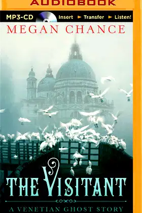 Visitant, The poster
