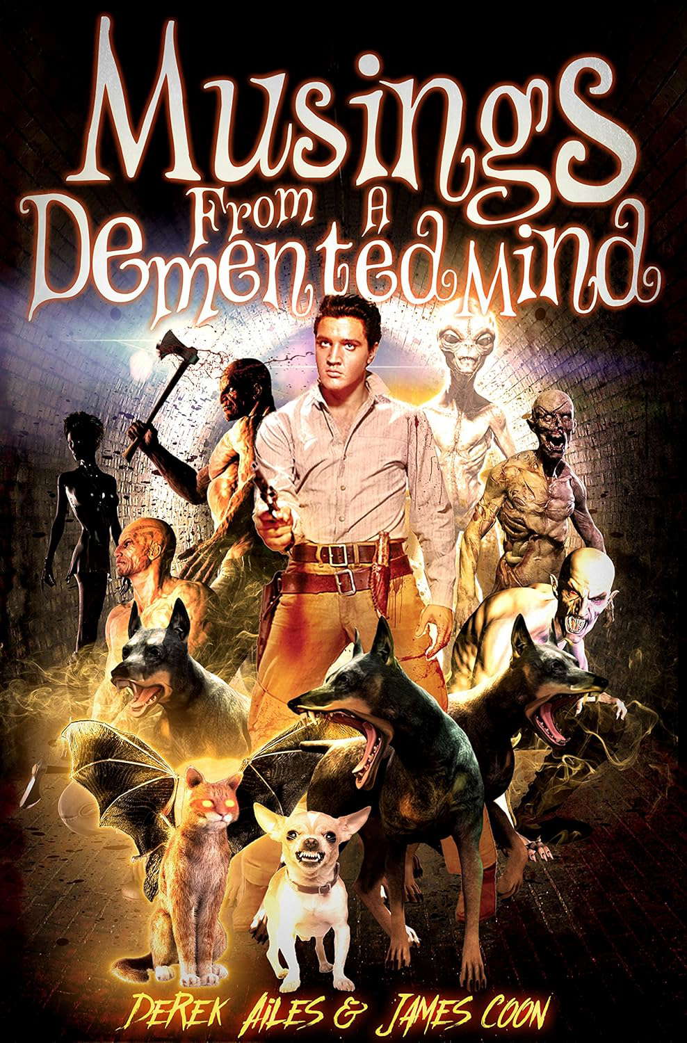 Musings From A Demented Mind poster