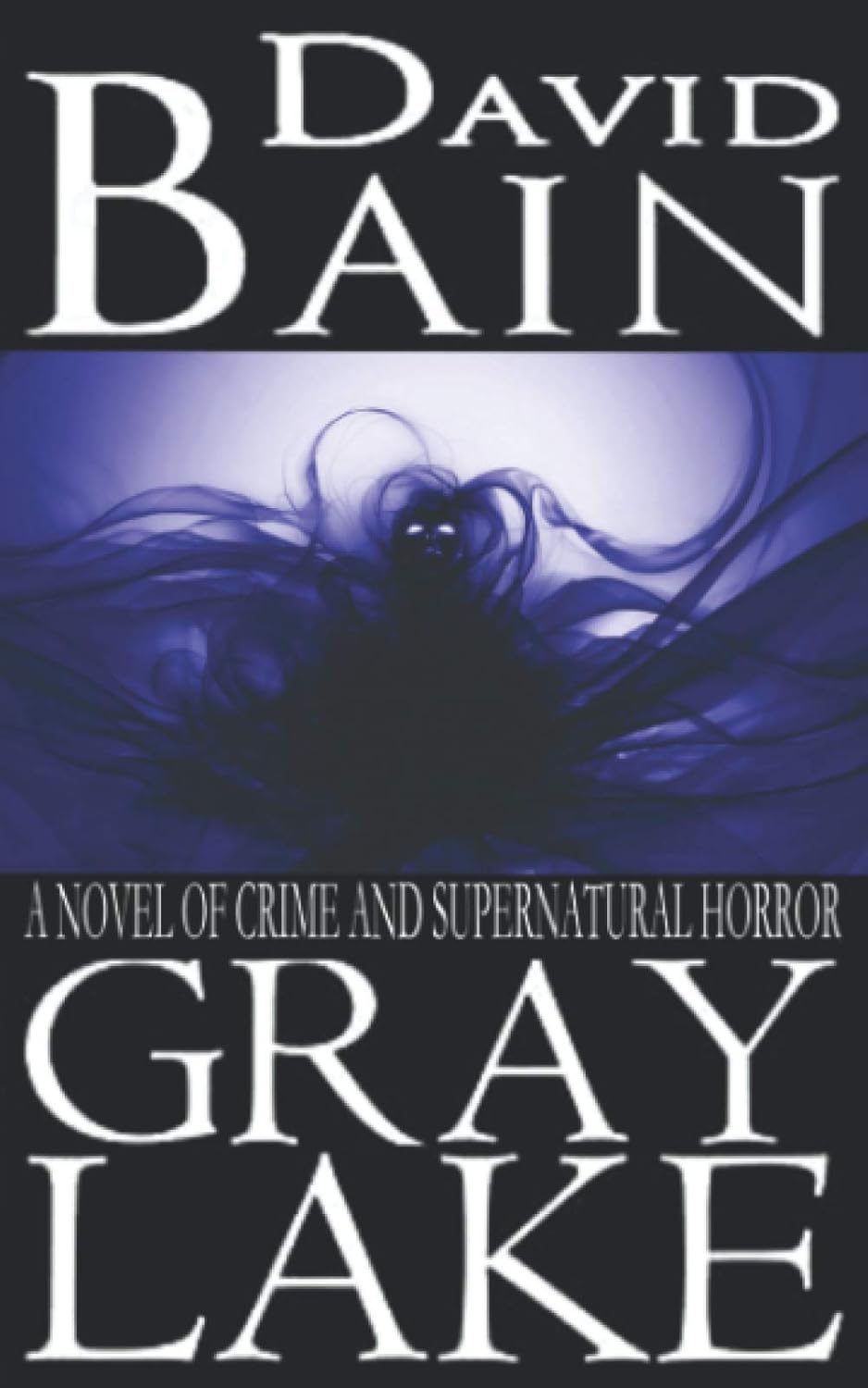 Gray Lake: A Novel of Crime and Supernatural Horror poster