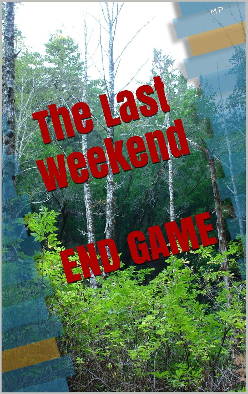The Last Weekend poster