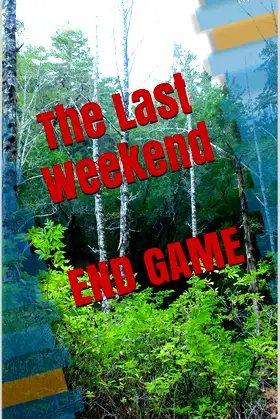 The Last Weekend poster