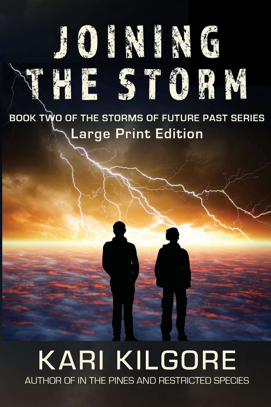 Joining the Storm: Book Two of the Storms of Future Past Series poster