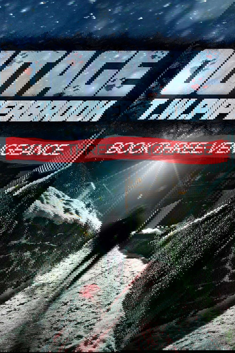 Outage 3: Vengeance (Outage Horror Suspense Series) poster