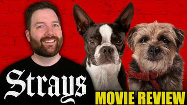 Strays - Movie Review poster