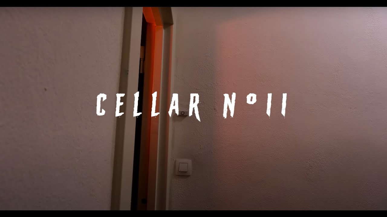 CELLAR N°11 - Horror short film
