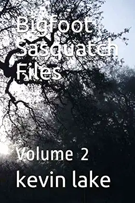 Bigfoot Sasquatch Files: Volume 2 poster