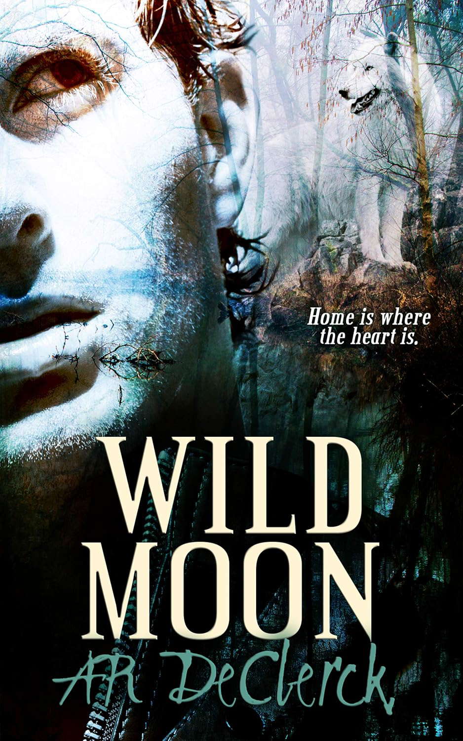 Wild Moon poster