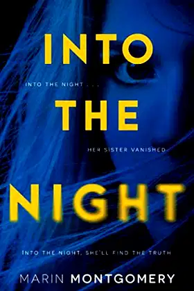 Into the Night poster