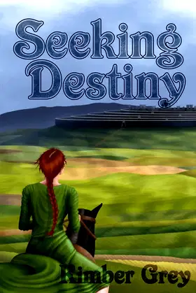 Seeking Destiny poster