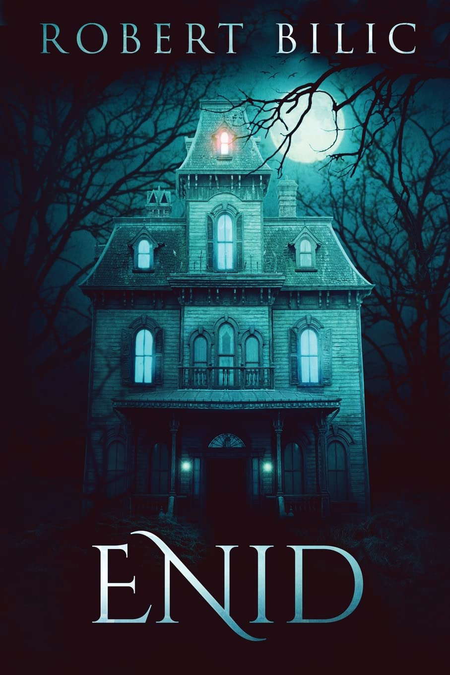 Enid: A Ghost Story poster