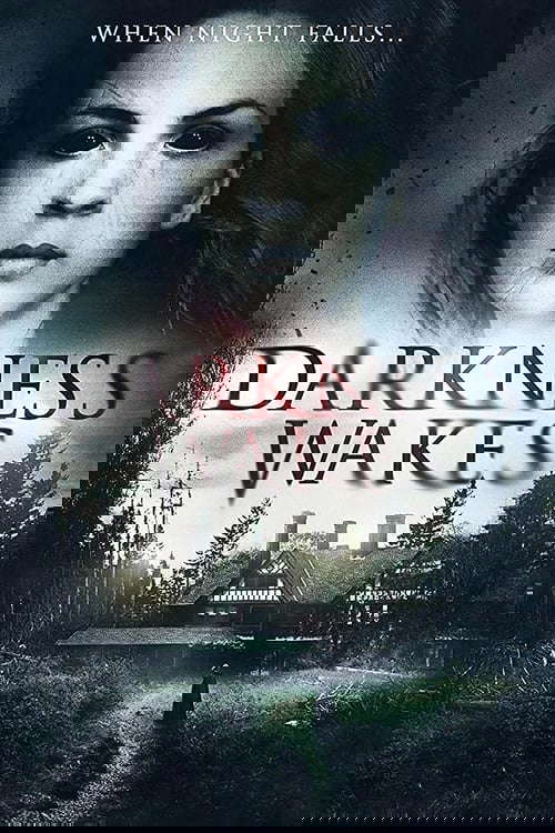 Darkness Wakes poster
