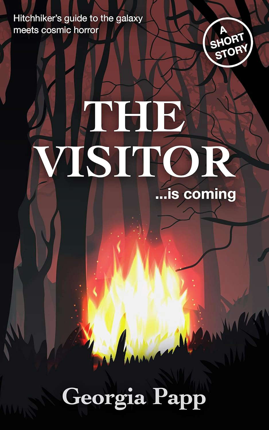 The Visitor poster
