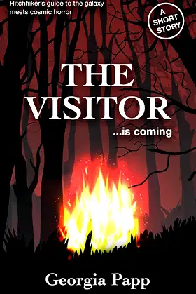 The Visitor poster