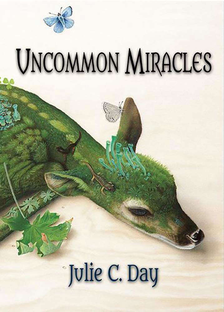 Uncommon Miracles poster