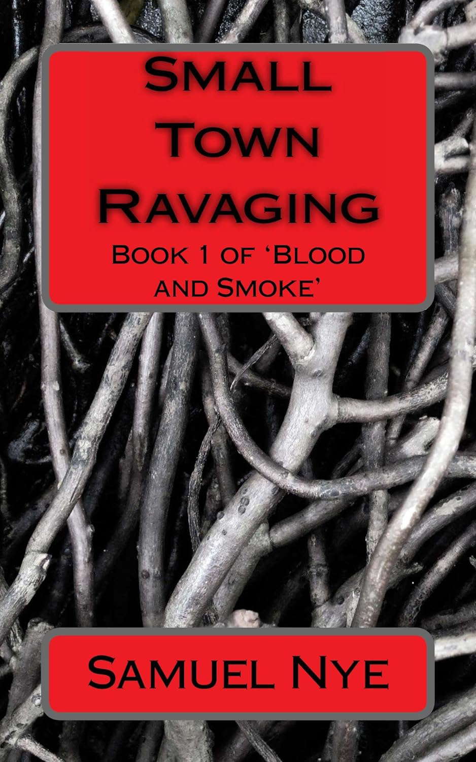 Small Town Ravaging (Blood and Smoke Book 1) poster